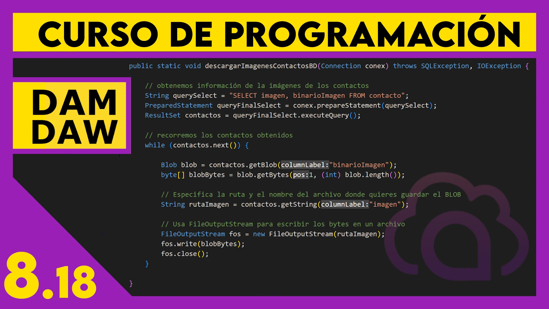 8.18 MySQL en JAVA: Binarios